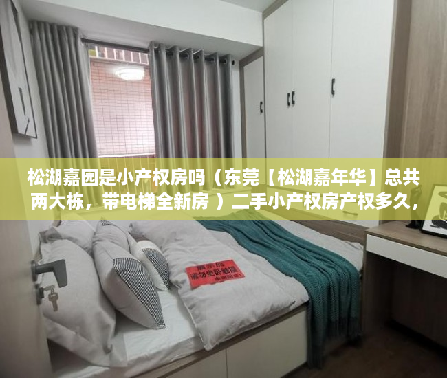 松湖嘉园是小产权房吗（东莞【松湖嘉年华】总共两大栋，带电梯全新房 ）二手小产权房产权多久，