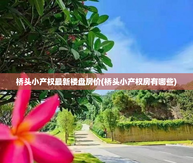 桥头小产权最新楼盘房价(桥头小产权房有哪些) 桥头小产权最新楼盘房价(桥头小产权房有哪些)