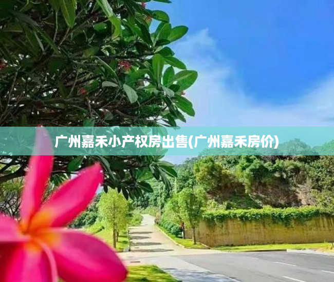 广州嘉禾小产权房出售(广州嘉禾房价) 广州嘉禾小产权房出售(广州嘉禾房价)