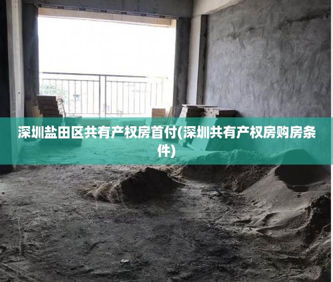 深圳盐田区共有产权房首付(深圳共有产权房购房条件)