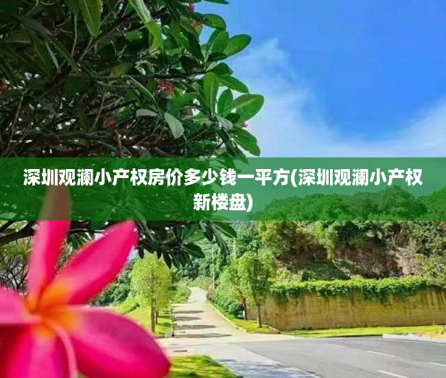 深圳观澜小产权房价多少钱一平方(深圳观澜小产权新楼盘) 深圳观澜小产权房价多少钱一平方(深圳观澜小产权新楼盘)