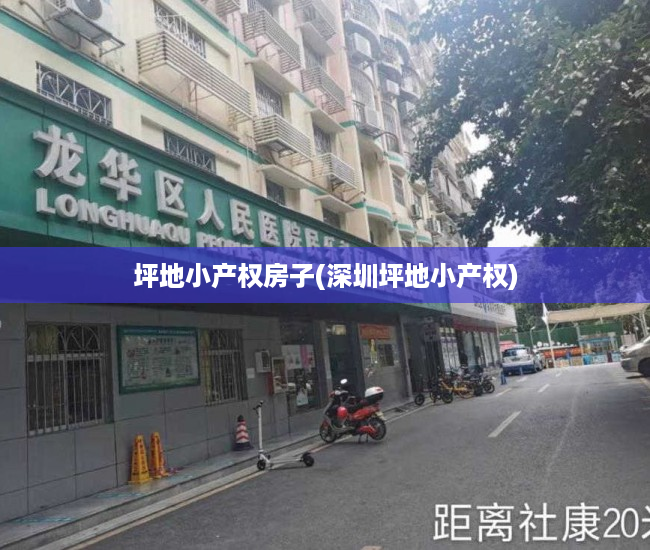 坪地小产权房子(深圳坪地小产权) 坪地小产权房子(深圳坪地小产权)