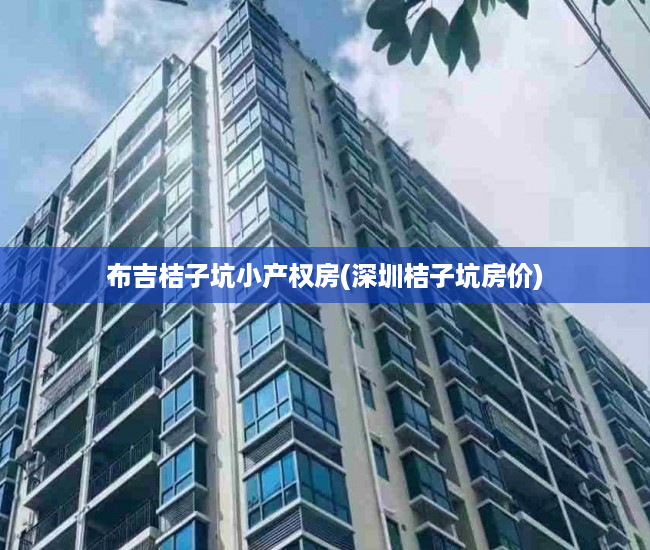 布吉桔子坑小产权房(深圳桔子坑房价)