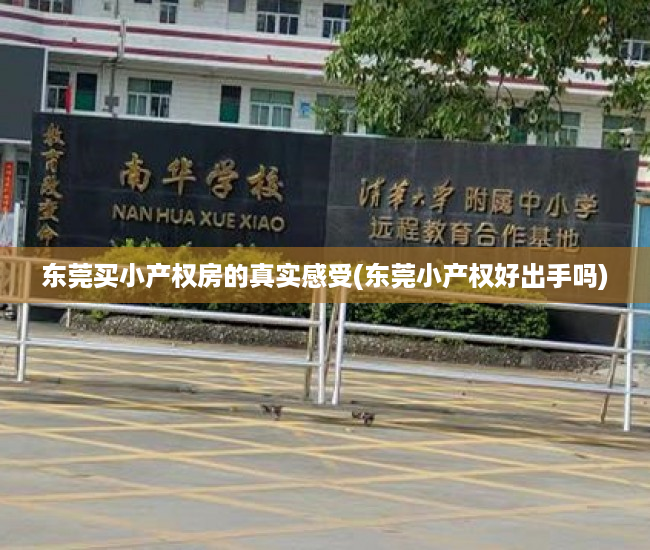 东莞买小产权房的真实感受(东莞小产权好出手吗) 东莞买小产权房的真实感受(东莞小产权好出手吗)