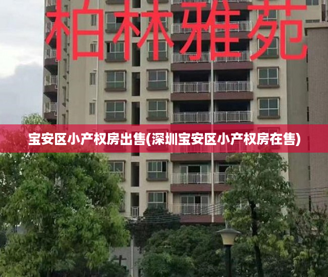 宝安区小产权房出售(深圳宝安区小产权房在售)