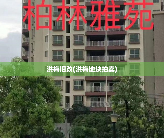 洪梅旧改(洪梅地块拍卖) 洪梅旧改(洪梅地块拍卖)