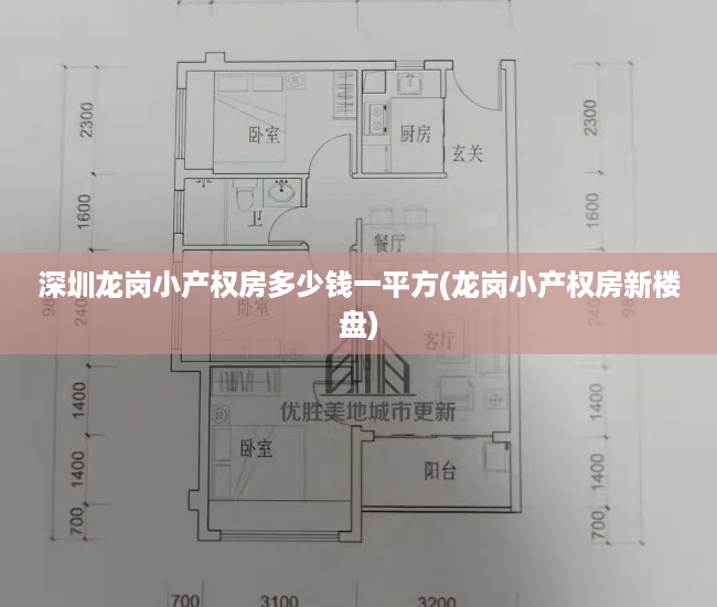 深圳龙岗小产权房多少钱一平方(龙岗小产权房新楼盘) 深圳龙岗小产权房多少钱一平方(龙岗小产权房新楼盘)