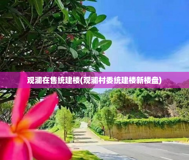观澜在售统建楼(观澜村委统建楼新楼盘) 观澜在售统建楼(观澜村委统建楼新楼盘)
