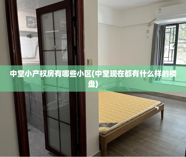 中堂小产权房有哪些小区(中堂现在都有什么样的楼盘) 中堂小产权房有哪些小区(中堂现在都有什么样的楼盘)