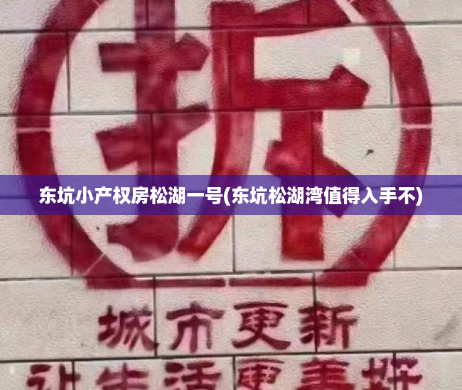 东坑小产权房松湖一号(东坑松湖湾值得入手不) 东坑小产权房松湖一号(东坑松湖湾值得入手不)