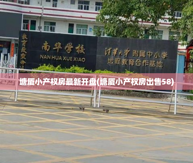塘厦小产权房最新开盘(塘厦小产权房出售58) 塘厦小产权房最新开盘(塘厦小产权房出售58)