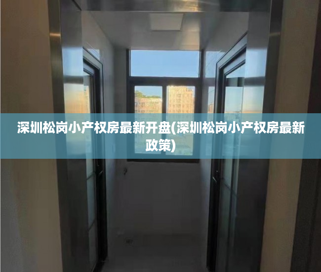 深圳松岗小产权房最新开盘(深圳松岗小产权房最新政策) 深圳松岗小产权房最新开盘(深圳松岗小产权房最新政策)
