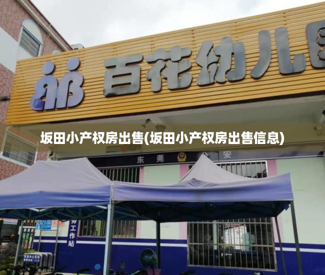 坂田小产权房出售(坂田小产权房出售信息) 坂田小产权房出售(坂田小产权房出售信息)