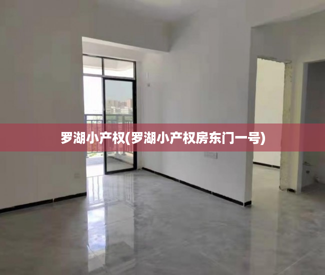 罗湖小产权(罗湖小产权房东门一号) 罗湖小产权(罗湖小产权房东门一号)