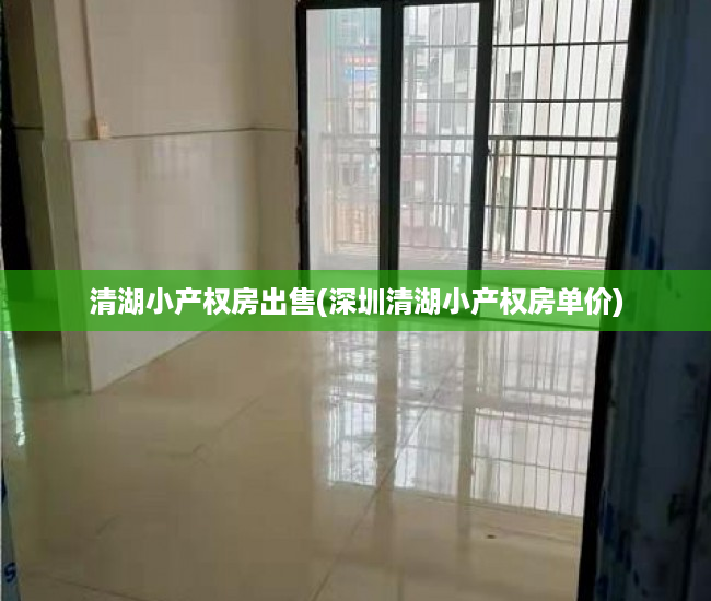 清湖小产权房出售(深圳清湖小产权房单价) 清湖小产权房出售(深圳清湖小产权房单价)
