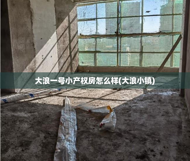 大浪一号小产权房怎么样(大浪小镇) 大浪一号小产权房怎么样(大浪小镇)