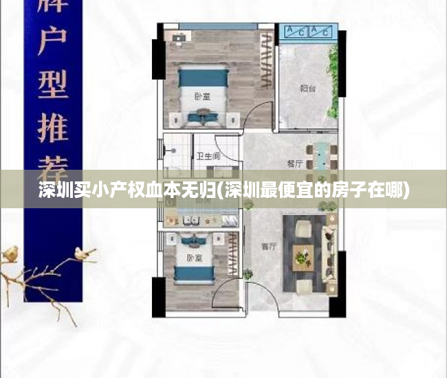 深圳买小产权血本无归(深圳最便宜的房子在哪) 深圳买小产权血本无归(深圳最便宜的房子在哪)