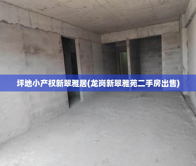 坪地小产权新翠雅居(龙岗新翠雅苑二手房出售)