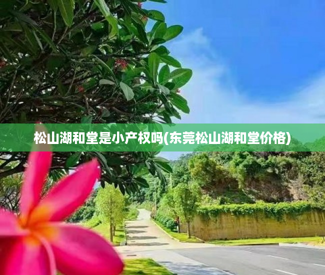 松山湖和堂是小产权吗(东莞松山湖和堂价格) 松山湖和堂是小产权吗(东莞松山湖和堂价格)