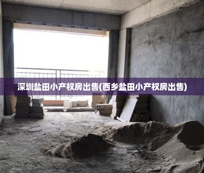 深圳盐田小产权房出售(西乡盐田小产权房出售) 深圳盐田小产权房出售(西乡盐田小产权房出售)