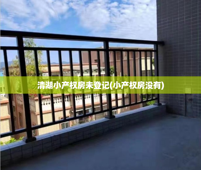 清湖小产权房未登记(小产权房没有) 清湖小产权房未登记(小产权房没有)