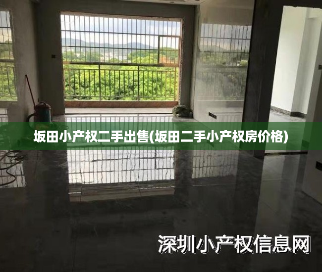 坂田小产权二手出售(坂田二手小产权房价格) 坂田小产权二手出售(坂田二手小产权房价格)