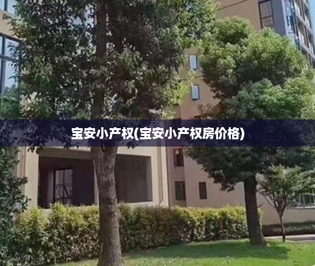 宝安小产权(宝安小产权房价格) 宝安小产权(宝安小产权房价格)