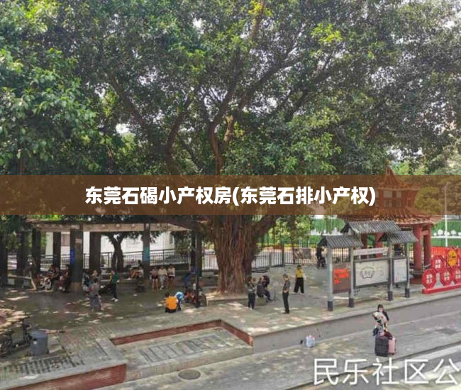 东莞石碣小产权房(东莞石排小产权)