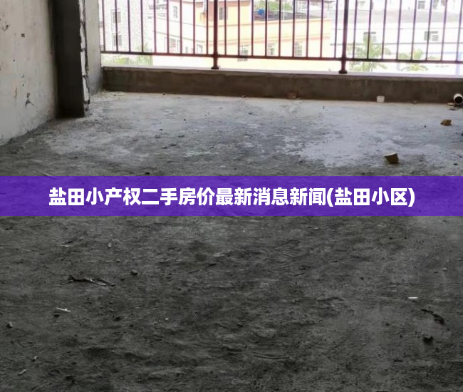 盐田小产权二手房价最新消息新闻(盐田小区)