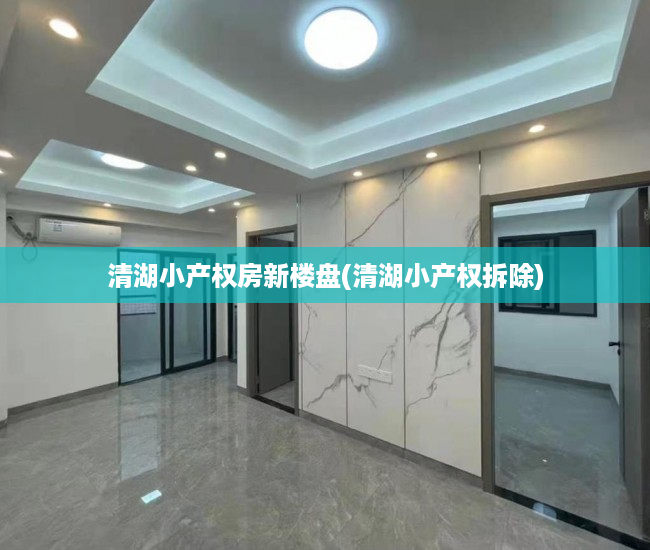 清湖小产权房新楼盘(清湖小产权拆除) 清湖小产权房新楼盘(清湖小产权拆除)