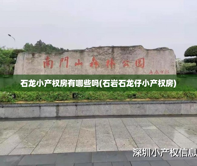 石龙小产权房有哪些吗(石岩石龙仔小产权房) 石龙小产权房有哪些吗(石岩石龙仔小产权房)