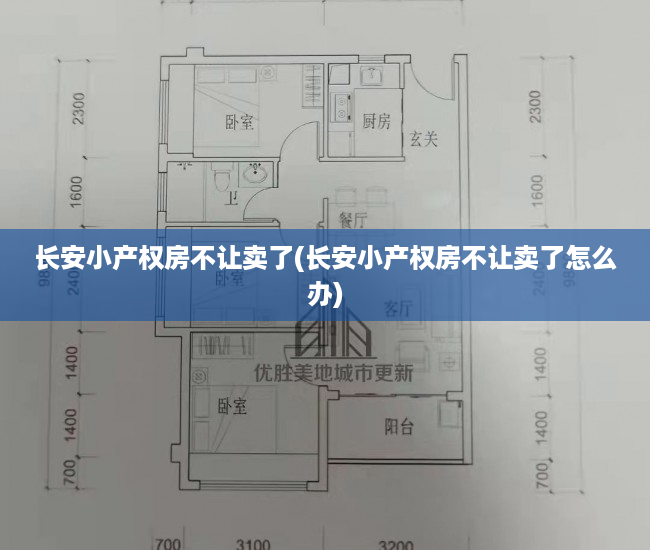 长安小产权房不让卖了(长安小产权房不让卖了怎么办) 长安小产权房不让卖了(长安小产权房不让卖了怎么办)