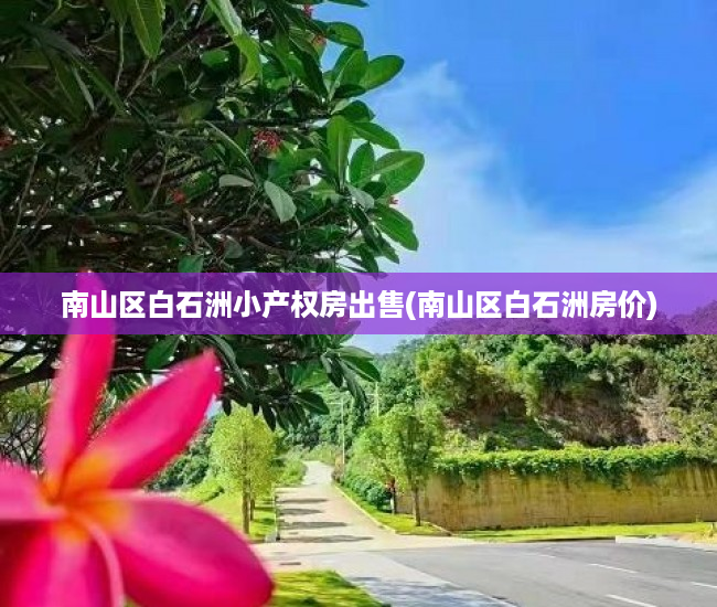 南山区白石洲小产权房出售(南山区白石洲房价) 南山区白石洲小产权房出售(南山区白石洲房价)