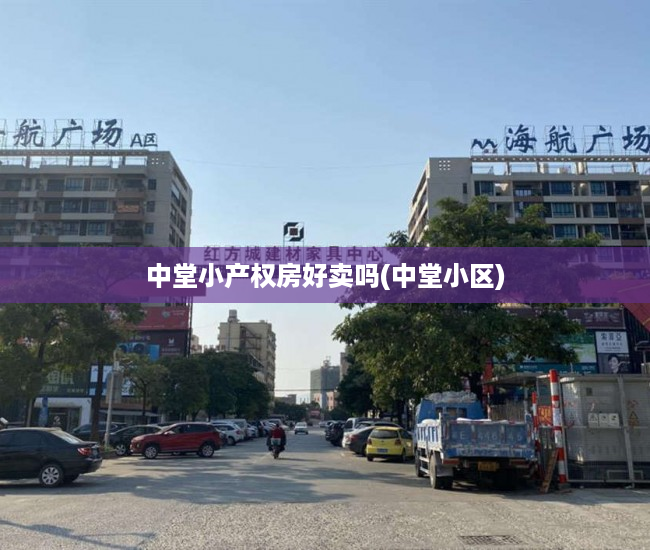 中堂小产权房好卖吗(中堂小区) 中堂小产权房好卖吗(中堂小区)