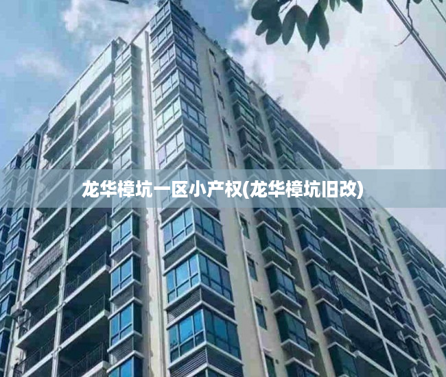 龙华樟坑一区小产权(龙华樟坑旧改) 龙华樟坑一区小产权(龙华樟坑旧改)