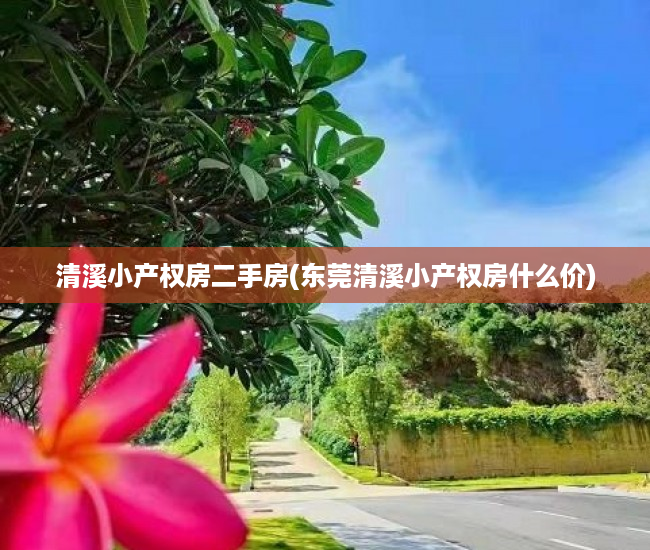 清溪小产权房二手房(东莞清溪小产权房什么价) 清溪小产权房二手房(东莞清溪小产权房什么价)