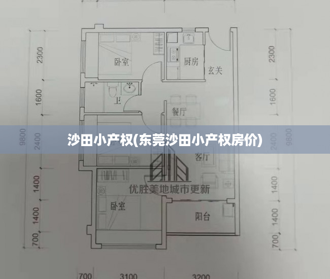 沙田小产权(东莞沙田小产权房价) 沙田小产权(东莞沙田小产权房价)
