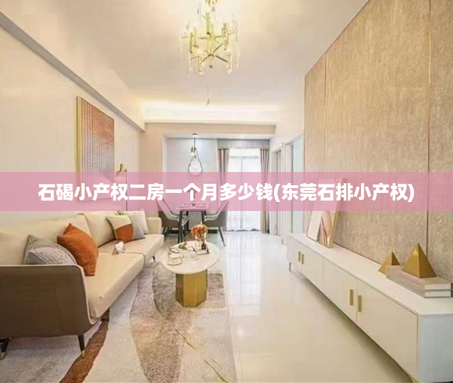 石碣小产权二房一个月多少钱(东莞石排小产权) 石碣小产权二房一个月多少钱(东莞石排小产权)