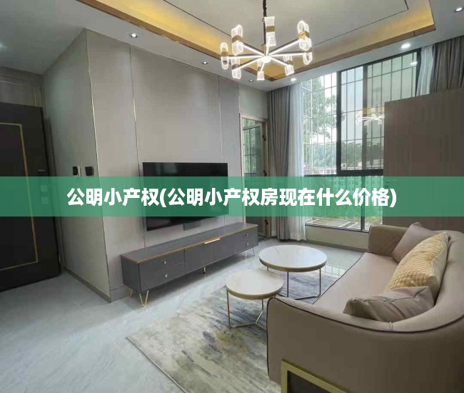 公明小产权(公明小产权房现在什么价格) 公明小产权(公明小产权房现在什么价格)
