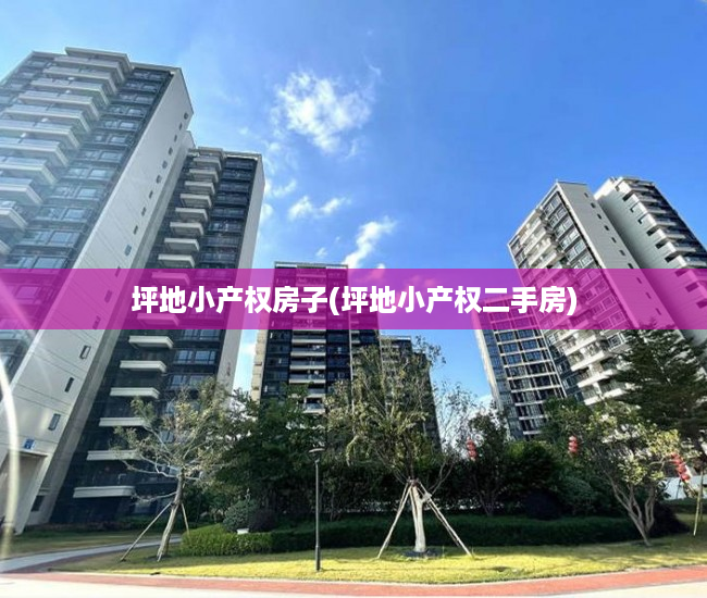 坪地小产权房子(坪地小产权二手房) 坪地小产权房子(坪地小产权二手房)