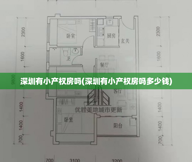 深圳有小产权房吗(深圳有小产权房吗多少钱) 深圳有小产权房吗(深圳有小产权房吗多少钱)