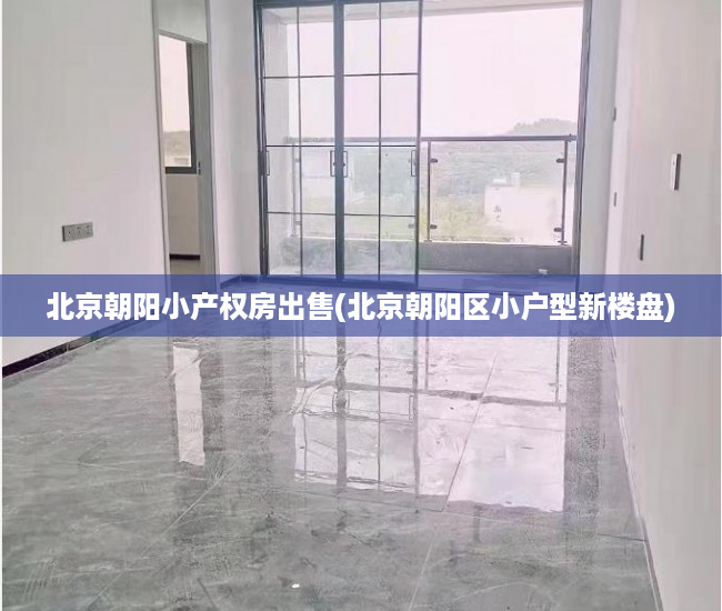 北京朝阳小产权房出售(北京朝阳区小户型新楼盘)