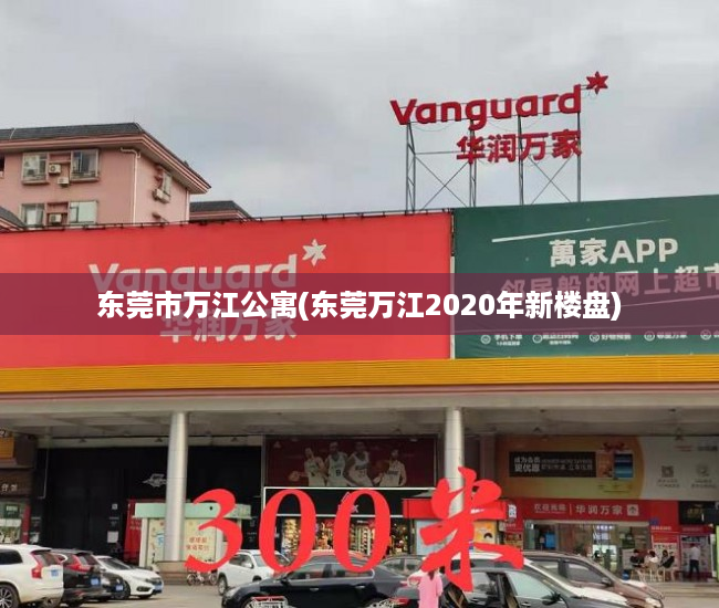 东莞市万江公寓(东莞万江2020年新楼盘) 东莞市万江公寓(东莞万江2020年新楼盘)