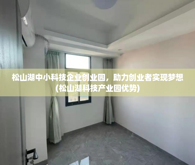 松山湖中小科技企业创业园，助力创业者实现梦想(松山湖科技产业园优势)
