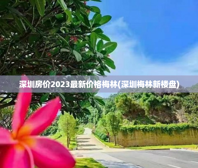 深圳房价2023最新价格梅林(深圳梅林新楼盘) 深圳房价2023最新价格梅林(深圳梅林新楼盘)