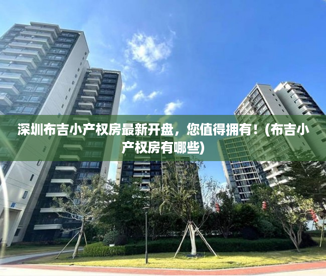 深圳布吉小产权房最新开盘，您值得拥有！(布吉小产权房有哪些)