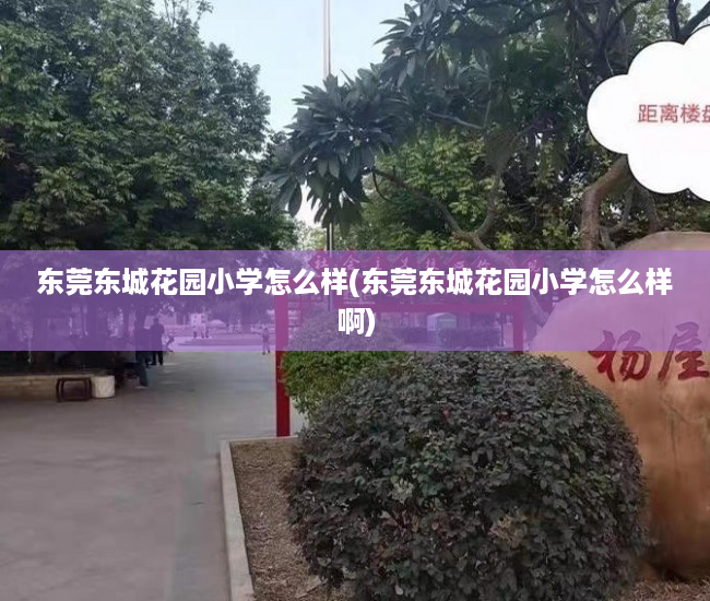 东莞东城花园小学怎么样(东莞东城花园小学怎么样啊) 东莞东城花园小学怎么样(东莞东城花园小学怎么样啊)