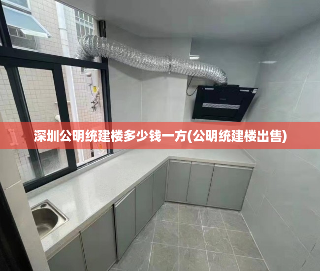 深圳公明统建楼多少钱一方(公明统建楼出售) 深圳公明统建楼多少钱一方(公明统建楼出售)