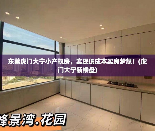 东莞虎门大宁小产权房，实现低成本买房梦想！(虎门大宁新楼盘)