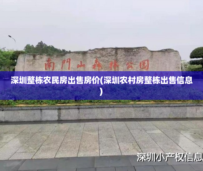 深圳整栋农民房出售房价(深圳农村房整栋出售信息)